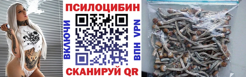 Галлюциногенные грибы Psilocybine cubensis как найти закладки Кудрово