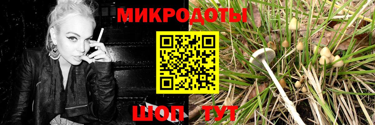 Галлюциногенные грибы GOLDEN TEACHER Кудрово