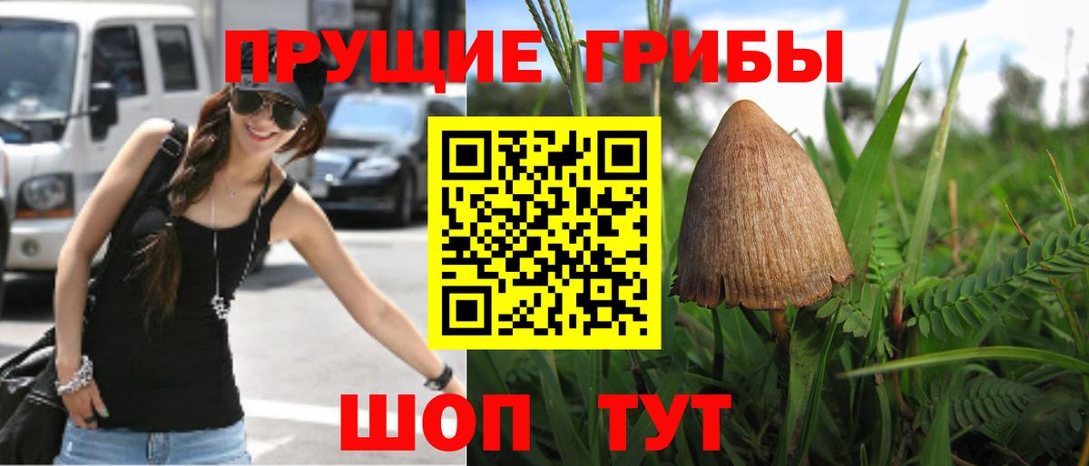 Галлюциногенные грибы MAGIC MUSHROOMS  Вход с VPN  Кудрово 