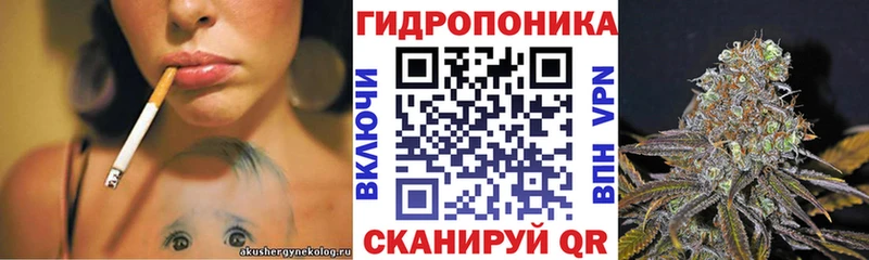 цены наркотик  Кудрово  Каннабис LSD WEED 